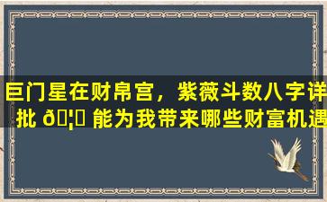 巨门星在财帛宫，紫薇斗数八字详批 🦊 能为我带来哪些财富机遇